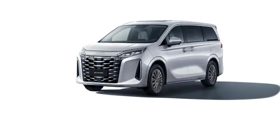BYD M9
