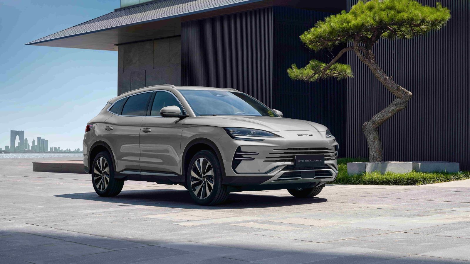 BYD S6